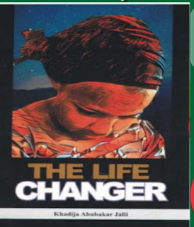 2021 JAMB Novel The Life Changer Chapter by Chapter Summary | PDF