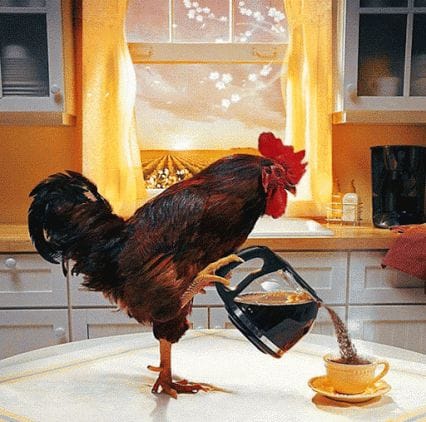cock serving coffee